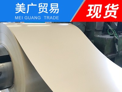 白色彩涂板雙面貼膜 大量供應(yīng)鍍鋁鋅彩涂板 彩涂鋼卷 現(xiàn)貨批發(fā)