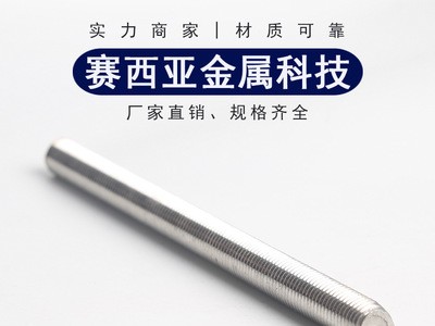 廠家直銷 304不銹鋼絲桿 不銹鋼牙條不銹鋼全牙螺桿螺棒 經(jīng)久耐用