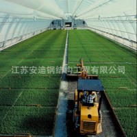 供應(yīng)鋼結(jié)構(gòu)網(wǎng)架連棟溫室大棚，廠家直接供貨