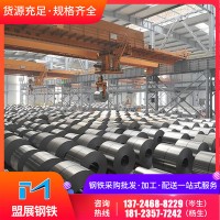 廣東廠家批發(fā)零售SPCC首鋼冷軋卷板 DC01拉伸冷板可開(kāi)平分條加工