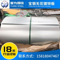 廠家鍍鋅板卷 電解板白鐵皮 寶鋼無(wú)花鍍鋅板現(xiàn)貨鍍鋅鋼板熱鍍鋅