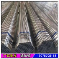 廠家生產(chǎn)大棚橢圓鋼管30*60 熱鍍鋅方矩管25*50 30*55鍍鋅護欄管
