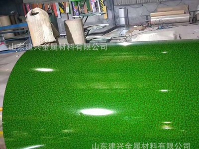 彩鋼板廠家直銷 納米彩鋼卷 樹脂彩涂板 高質(zhì)量彩涂板 可加工沖孔