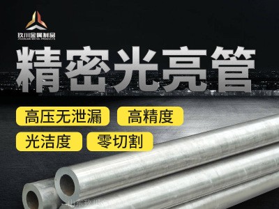 廠家直銷10#無縫精密管 10號小口徑精密管油路管可定制量大優(yōu)惠