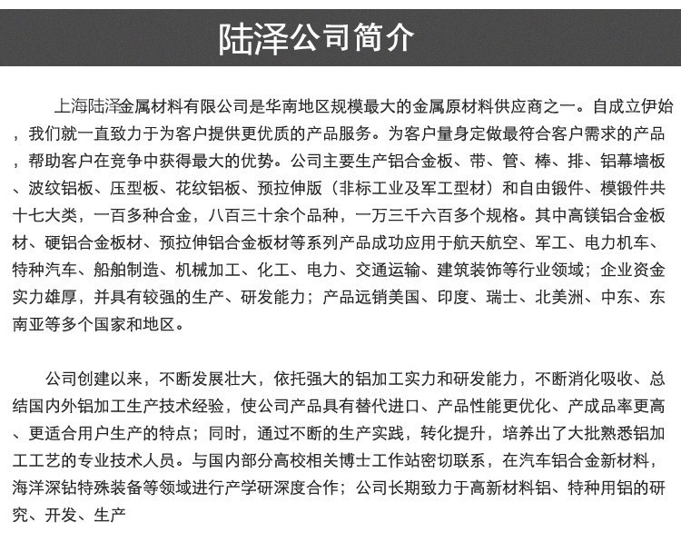 陸澤公司簡(jiǎn)介  13