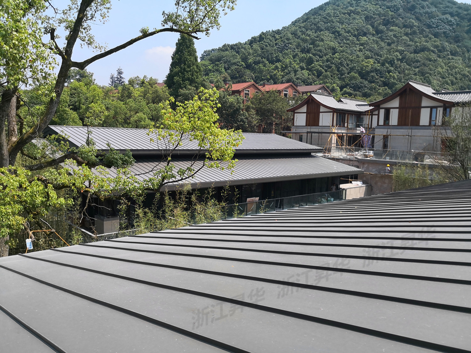 現(xiàn)場原圖IMG_20180807_110000_副本