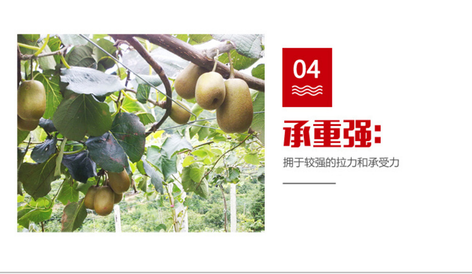 鋼絲8