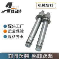 永年廠家供應(yīng)自切式機(jī)械錨栓錨栓后切底機(jī)械錨栓量大從優(yōu)