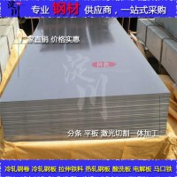 【淀川鋼鐵】無花鍍鋅鋼板0.4mm0.5mm鍍鋅鋼板批發(fā)光亮無花鍍鋅板