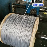 批發(fā)銷(xiāo)售304不銹鋼包塑包膠涂塑鋼絲繩 可定制彩色包塑鋼絲繩