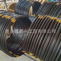 包塑鋼絲涂塑鋼絲 自伸直拉桿涂塑鋼絲 各結(jié)構(gòu)直徑廠家貨源