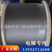 廠家直銷載人載貨電梯曳引用鋼絲繩 補(bǔ)償 限速器用鋼絲繩 鋼絲繩