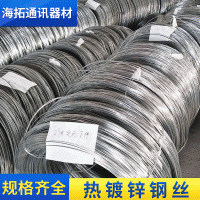 鐵絲熱鍍鋅鋼絲農(nóng)業(yè)不易生銹鋼絲葡萄架獼猴桃蔬菜大棚鍍鋅鋼絲線