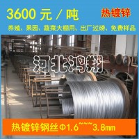 供應鋁絞線用鍍鋅鋼絲/熱鍍鋅鋼絲/鋼絲直徑1.4mm-3.8mm