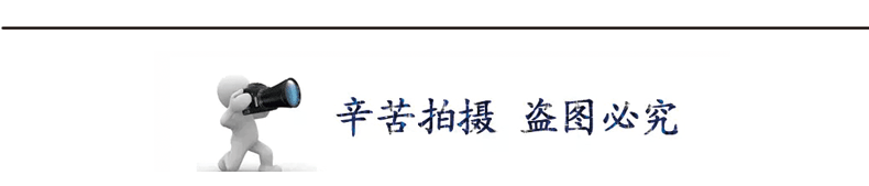 未標(biāo)題-1_06.gif