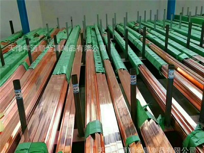 供應(yīng)鍍錫紫銅排 10mm*250mm鍍錫銅排廠家