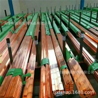 供應(yīng)鍍錫紫銅排 10mm*250mm鍍錫銅排廠家