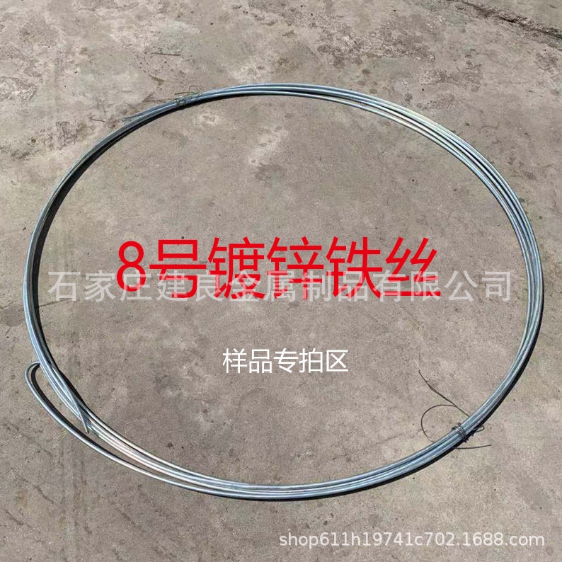 8號(hào)樣品