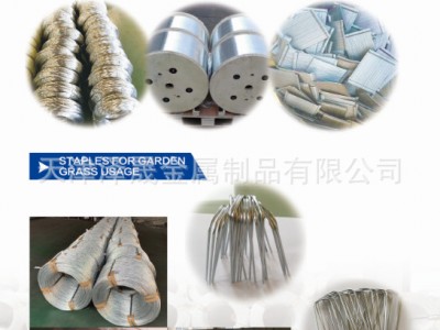文教釘絲線經(jīng)絲徑0.56mm電鍍鋅鐵絲改拔絲硬鐵絲冷鍍絲天津鐵絲