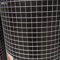 廠家現(xiàn)貨供應(yīng)鍍鋅電焊網(wǎng)建筑用外墻保溫抹墻用鐵絲電焊網(wǎng)