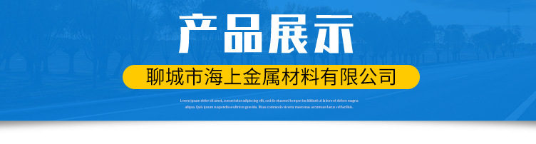無縫管_10.jpg