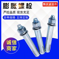 現(xiàn)貨供應國標碳鋼鍍鋅大小頭膨脹螺絲 拉爆加長膨脹螺栓M6-M24