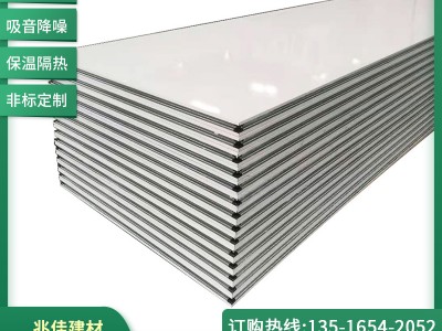 廠家批發(fā)中空玻鎂手工凈化板 手工玻鎂夾芯彩鋼板 中空玻鎂板定制
