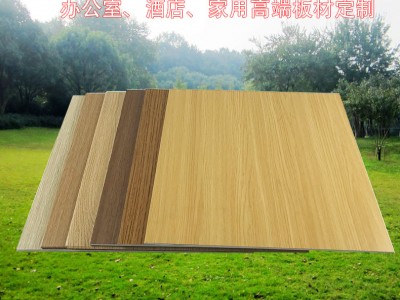 廠家直供醫(yī)院鋼板護墻板覆膜金屬復(fù)合板美麗板銀行鋼制墻板材料