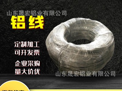 原色盆景造型專用鋁線 果架手工模型diy 扎花支架多用途晟宏