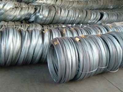 專業(yè)批發(fā)熱鍍鋅鐵絲 鋼絲 廠家直銷(xiāo)規(guī)格齊全品質(zhì)好價(jià)低熱鍍鋅鋼絲