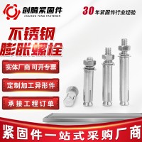 工廠供應(yīng)不銹鋼膨脹螺栓 外六角膨脹螺栓4.8級膨脹螺絲膨脹栓現(xiàn)貨