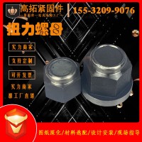 帶墊扭力螺母自帶墊煤礦用螺母高強(qiáng)度煤礦錨桿螺母帶墊扭力螺母