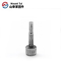 冷鐓毛坯縮桿異形螺栓 防盜螺栓 內(nèi)螺紋圓頭螺栓現(xiàn)貨批發(fā)