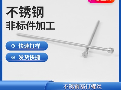 不銹鋼塞打螺絲 不銹鋼長(zhǎng)螺絲加工不銹鋼圓螺母非標(biāo)定 制塞打螺絲