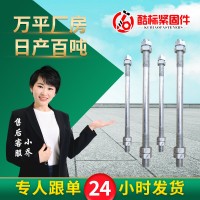 廠家供應(yīng)雙頭螺栓 熱鍍鋅化工雙頭螺絲 10.9級(jí)高強(qiáng)雙頭螺桿