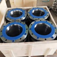 超薄大型風(fēng)電碳鋼不銹鋼法蘭 ASME EN1092 合金不銹鋼法蘭