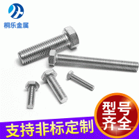 廠家供應(yīng)304不銹鋼外高強度六角螺栓螺絲六角頭螺桿M10M12緊固件
