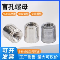 現(xiàn)貨供應(yīng) 盲孔螺母不銹鋼平頭螺桿接頭螺母配件零件多規(guī)格可制作