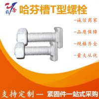 熱鍍鋅T形螺栓 道岔專用T型墊板螺栓 哈芬槽T型螺絲幕墻預(yù)埋件