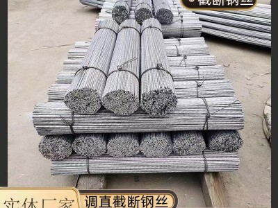 供應(yīng)截?cái)噤X包鋼絲2.2mm熱鍍鋅鋼絲葡萄園拉線鋼絲避雨棚地錨鋼絲