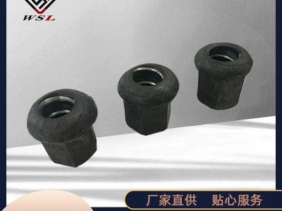 廠家批發(fā)中空錨桿螺母礦用螺母 高強度蘑菇頭液壓采煤機用緊固件