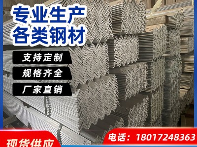 上海鍍鋅角鋼三角鐵Q235廠家直銷沖孔加工40*4規(guī)格齊全熱鍍鋅角鋼