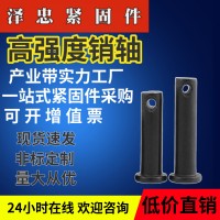 廠家定制加工高強(qiáng)度銷軸65錳鋼不銹鋼加長(zhǎng)圓頭平面帶孔鍍鋅銷軸