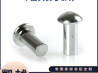 廠家批發(fā)圓頭鉚釘實(shí)心鐵鉚釘半圓頭實(shí)心銅鉚釘 鋁鉚釘 不銹鋼釘
